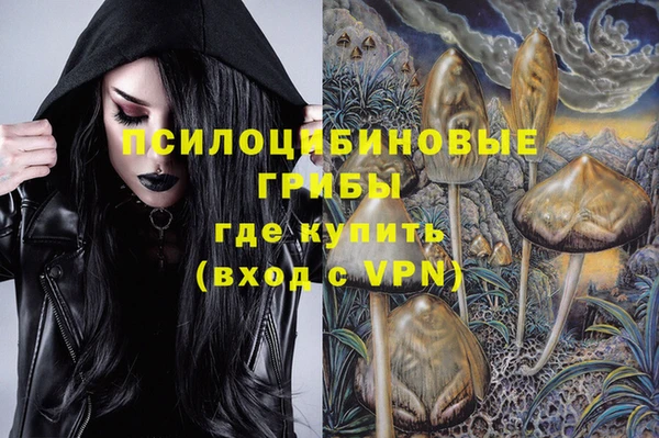 ПСИЛОЦИБИНОВЫЕ ГРИБЫ Пролетарск