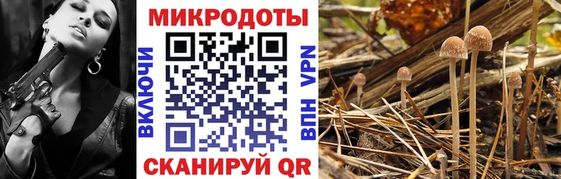 цены наркотик  Приозерск  кракен как зайти  Псилоцибиновые грибы MAGIC MUSHROOMS 